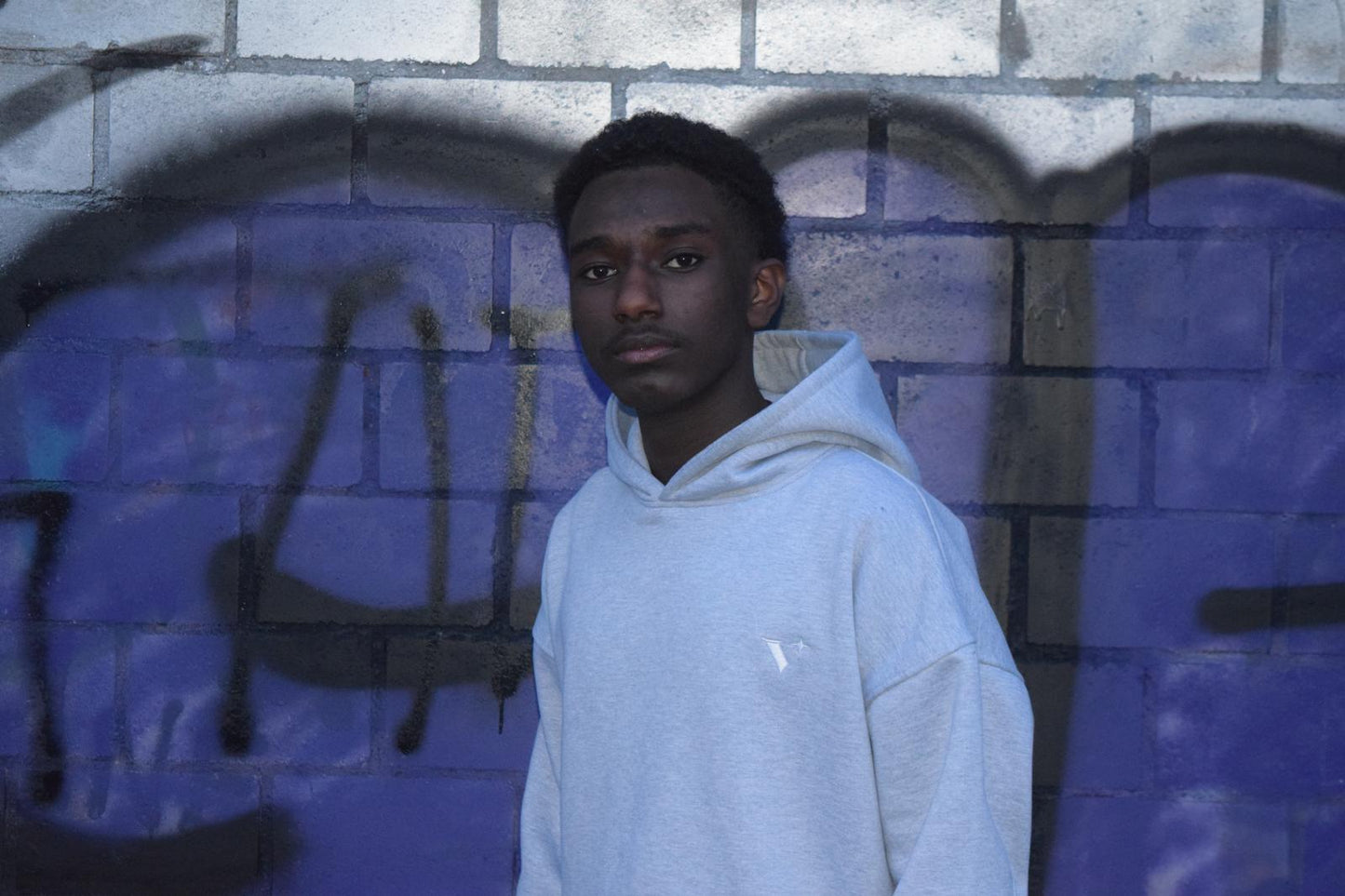 Hoodie Gray